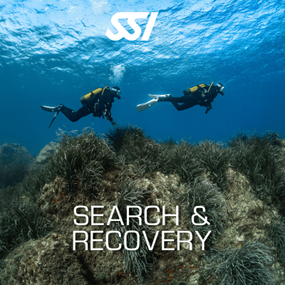 Search & Recovery