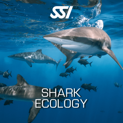 SSI Shark Ecology