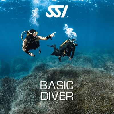 Basic Diver