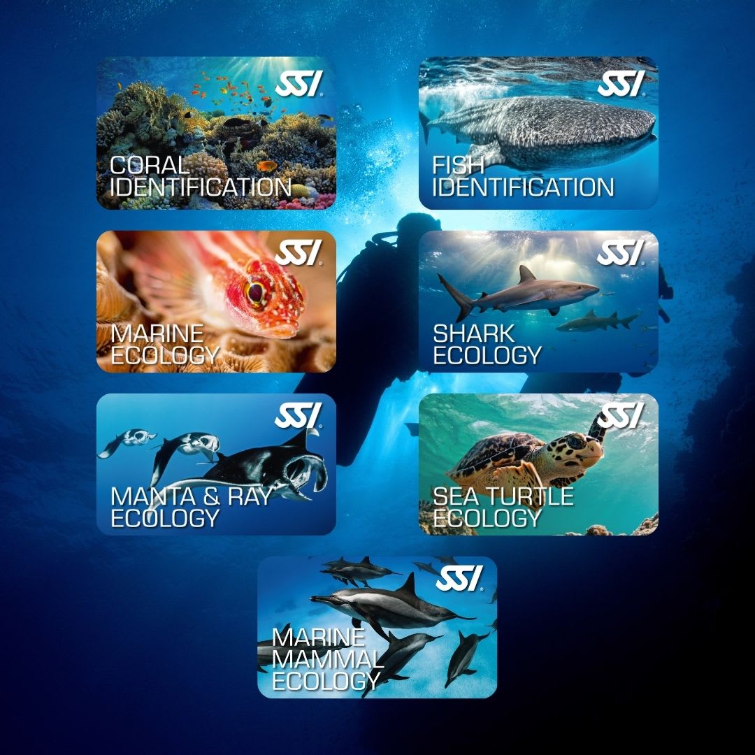 Ecology Bundle1