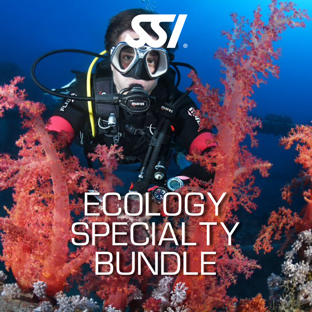 Open Water Diver Bundle5