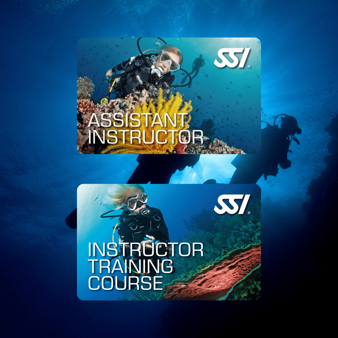 Open Water Instructor Bundle2
