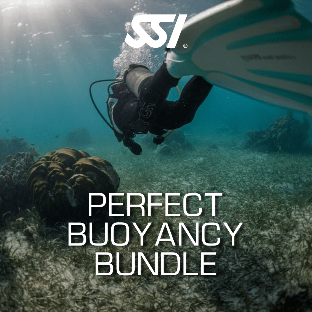 Open Water Diver Bundle3