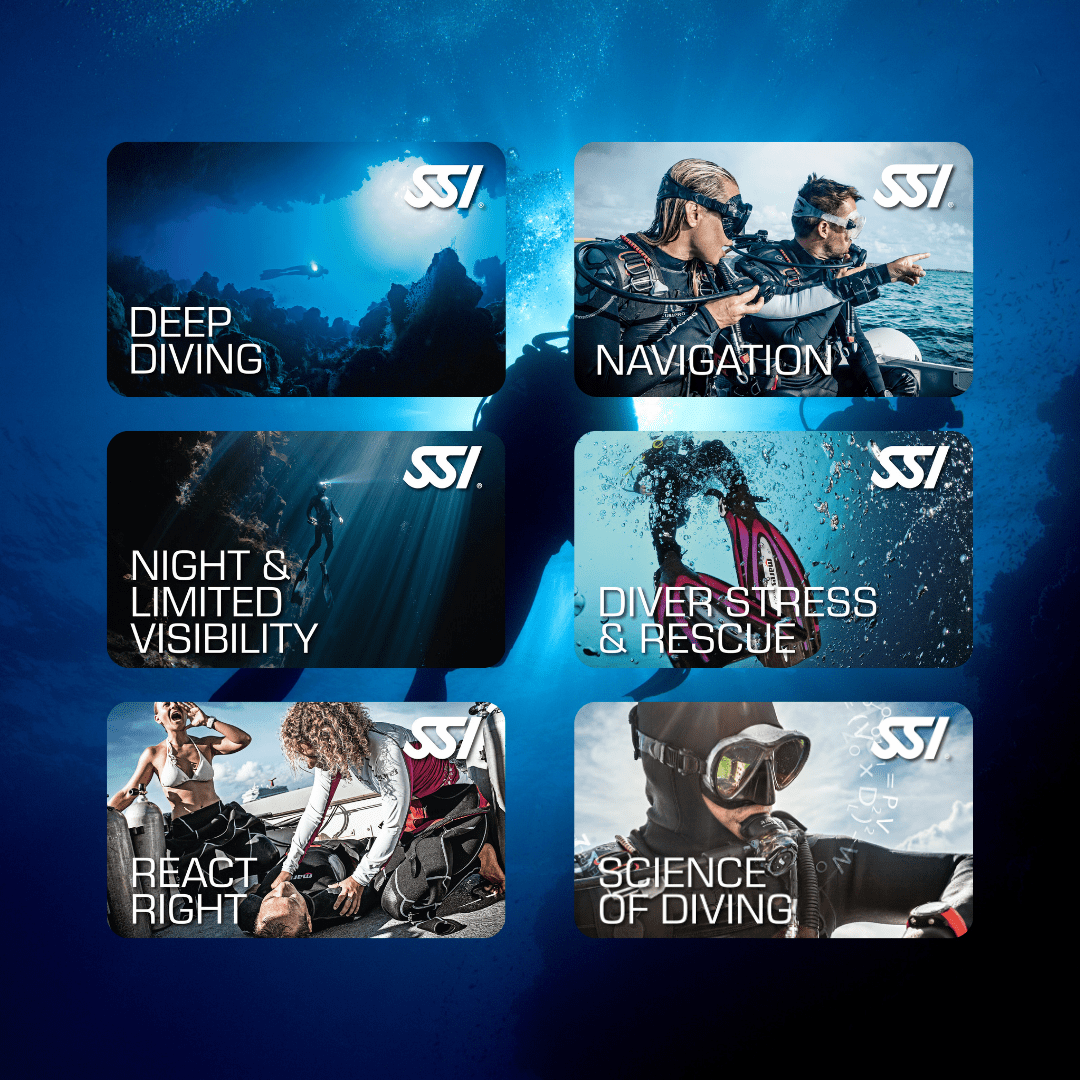 Divemaster Bundle3