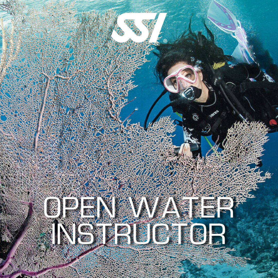 Open Water Instructor1