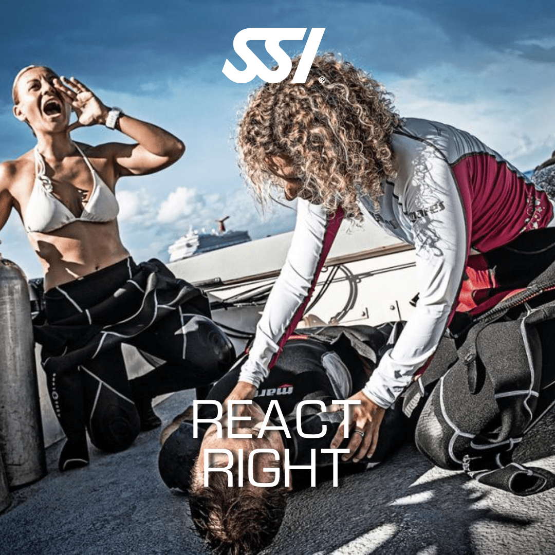 React Right1