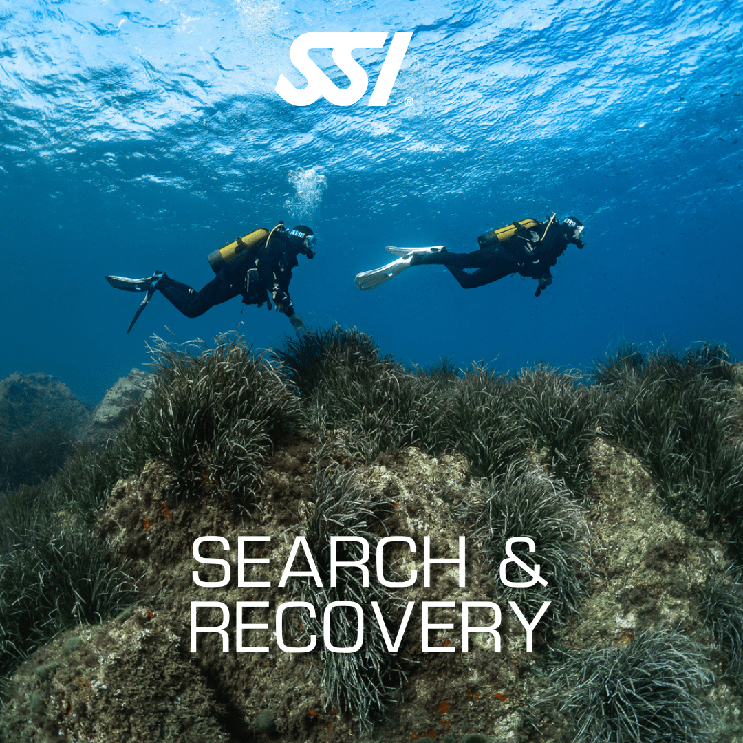 Search & Recovery1