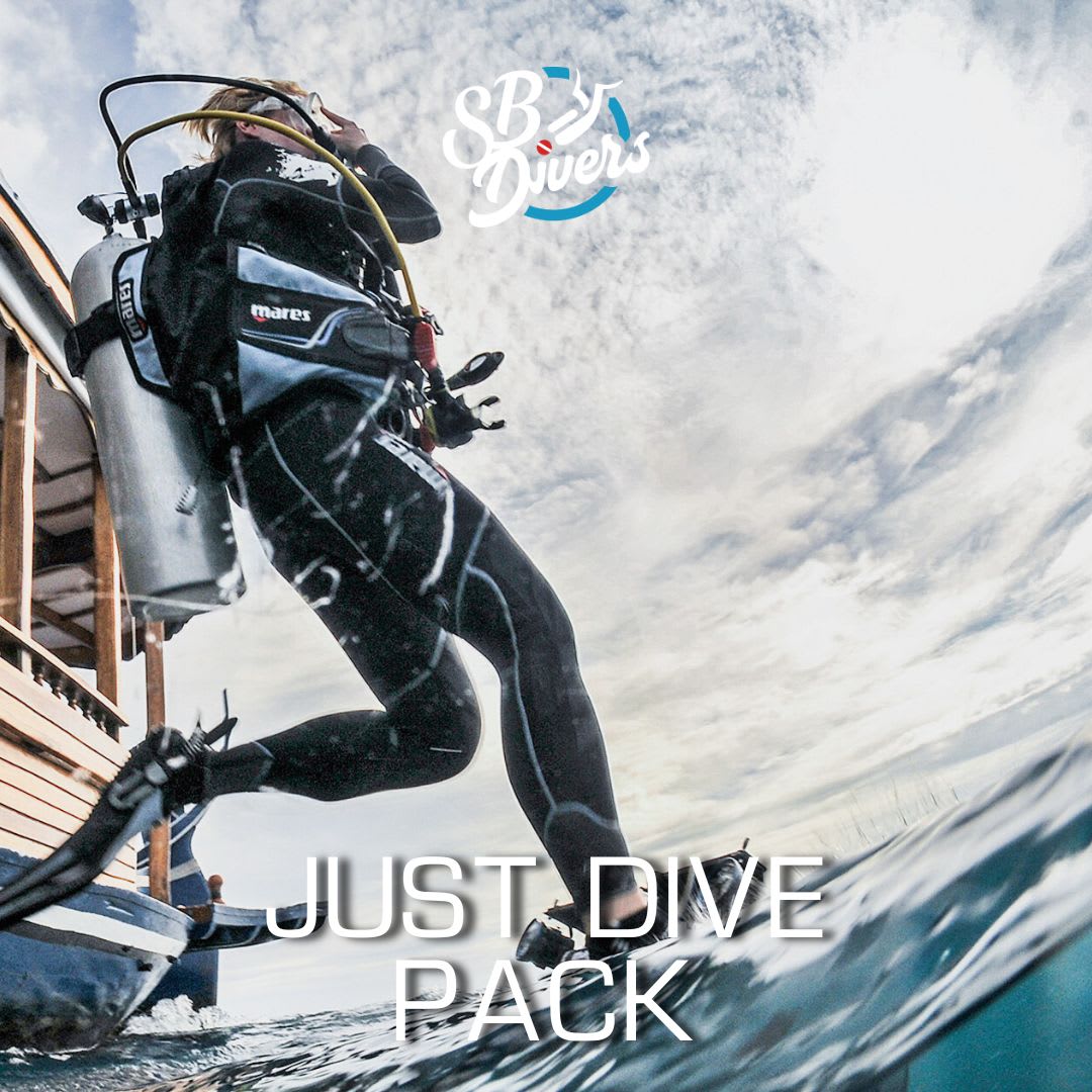 Dive Pass1