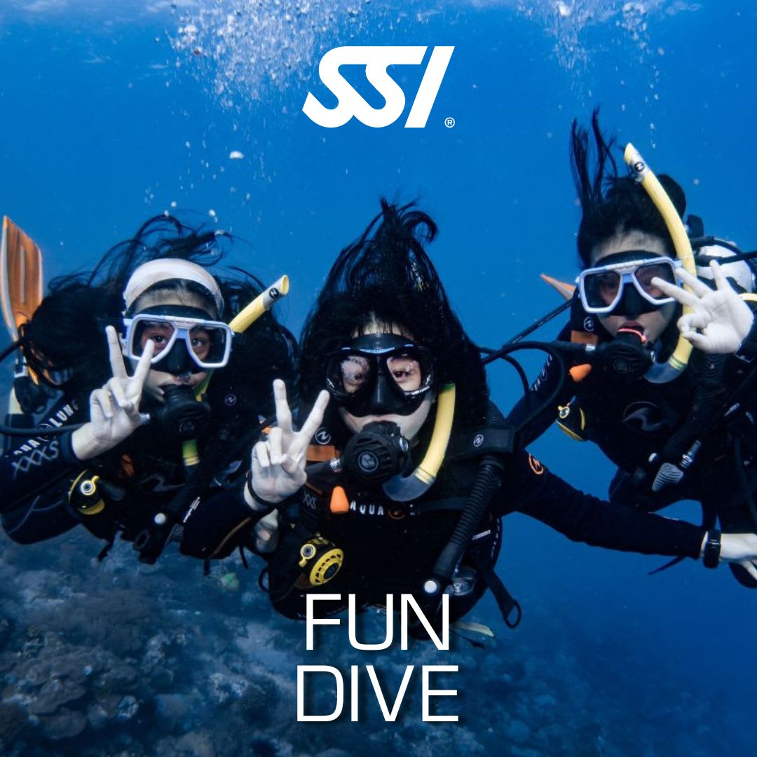 Fun Dive1