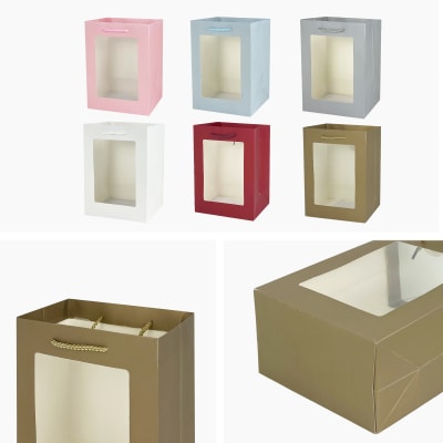 BOLSA CAJA VISOR - 1651S