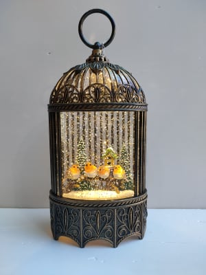 FAROL PAJAROS1
