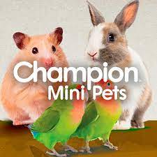 CHAMPION