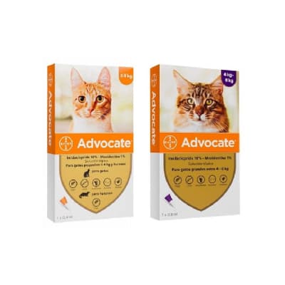 ADVOCATE