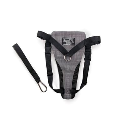 AFP TRAVEL DOG ARNES SEGURIDAD