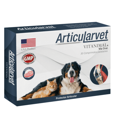 ARTICULARVET1