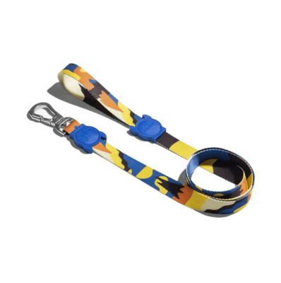 ARTSY LEASH