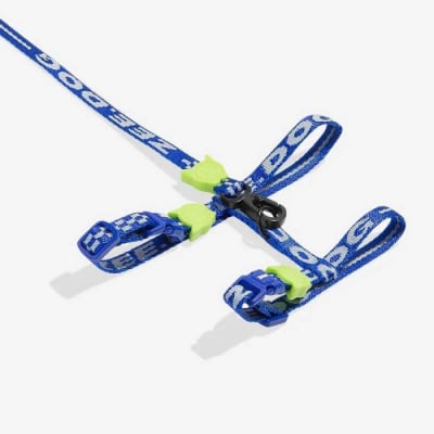 ASTRO HARNESS + LEASH1