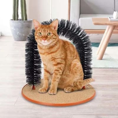 AUTOMASAJEADOR DE GATOS