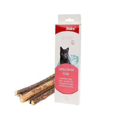 BIOLINE CATNIP DENTAL1