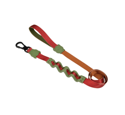 ZEE DOG BIT RUFF LEASH1