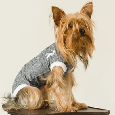 BODY POST OPERATORIO HEMBRA JON PETRO1