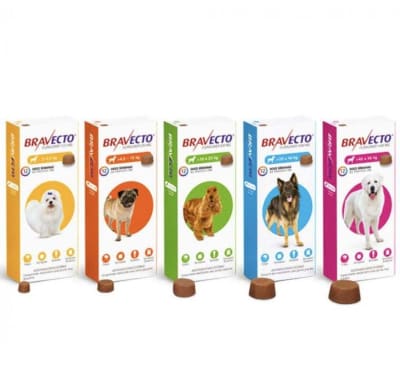 BRAVECTO PERROS