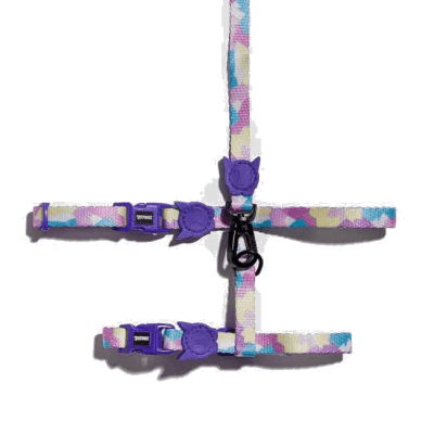 CANDY CAT HARNESS + LEASH1