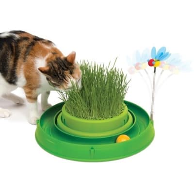 CATIT PLAY CIRCUITO  CON PASTO