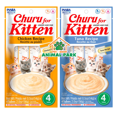 IB CHURU KITTEN