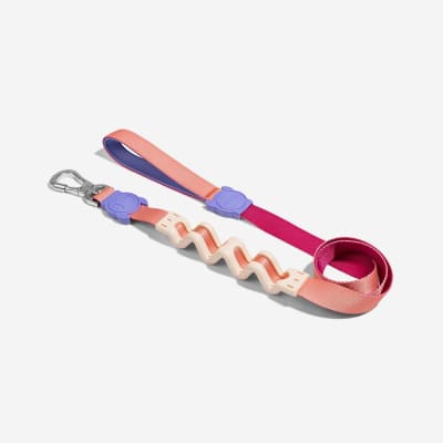 CINNAMON RUFF LEASH1