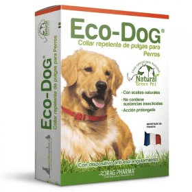 COLLAR ECO DOG