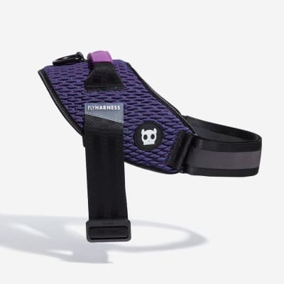FLYHARNESS WICKED
