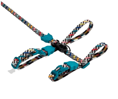 FRITZ H-HARNESS + LEASH1
