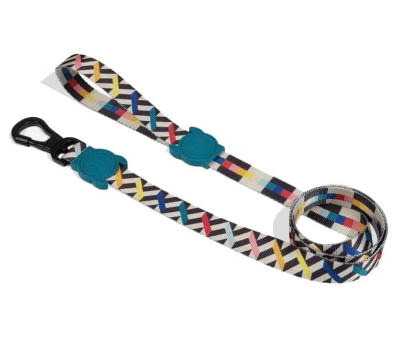 FRITZ LEASH