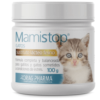 MAMISTOP GATOS