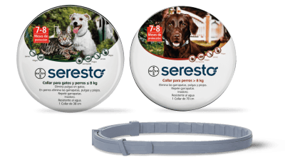 SERESTO GATOS Y PERROS