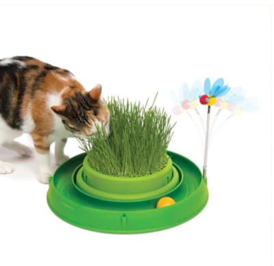 CATIT SENSES 2.0 GERMINADOR DE PASTO1