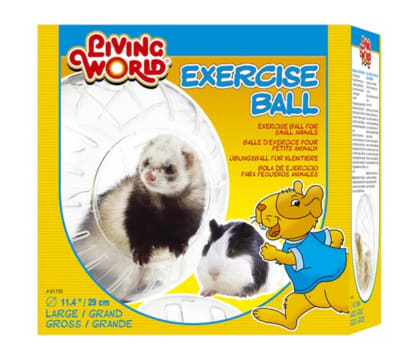 LW BOLA DE EJERCICIO