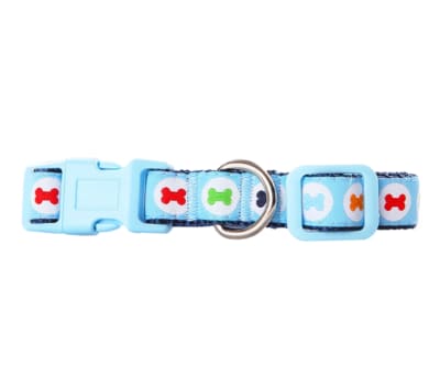 PAWISE COLLAR DISEÑO