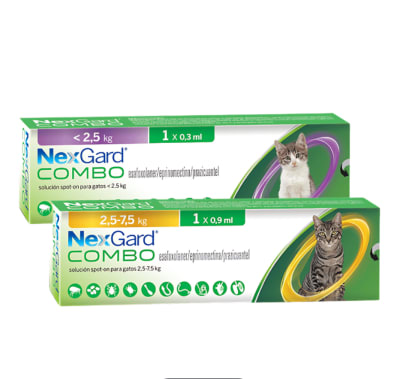 NEXGARD  COMBO GATOS