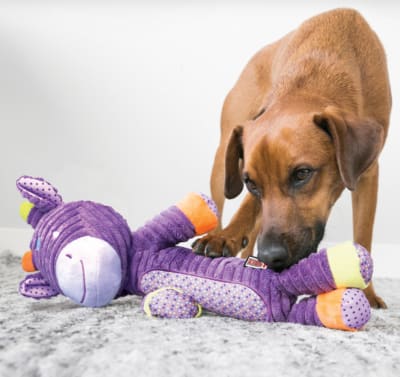 KONG PATCHES ADORABLES GIRAFFE1