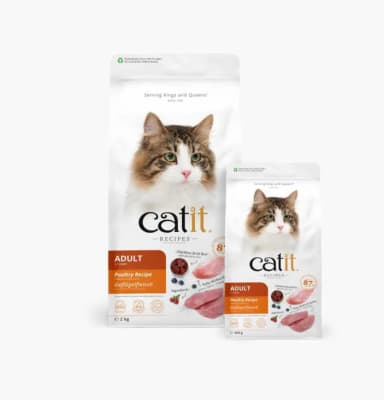 CATIT RECIPES ADULTO