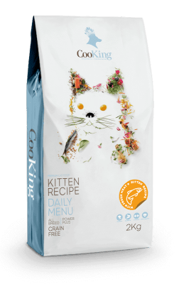 COOKING CAT KITTEN