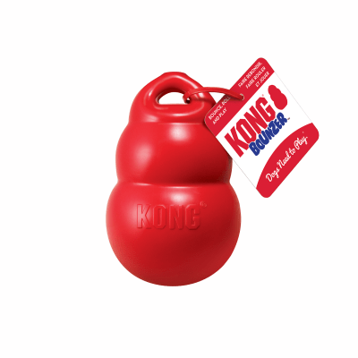 KONG BOUNZER