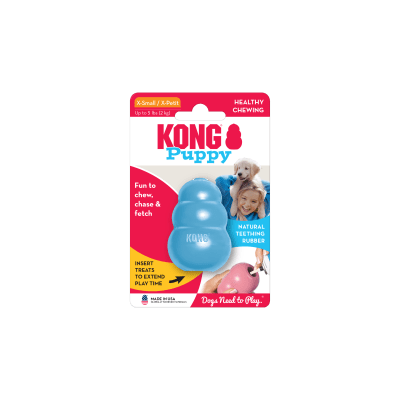 KONG PUPPY1