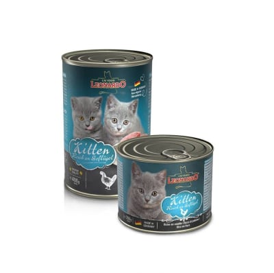 LEONARDO LATA QS KITTEN