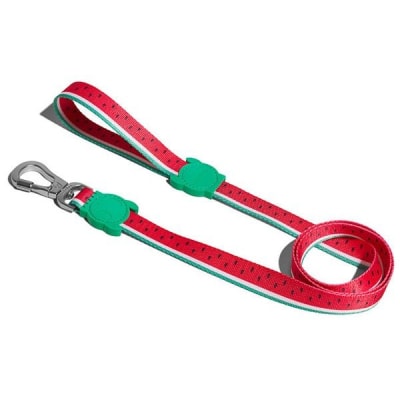 LOLA LEASH1