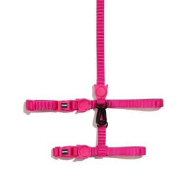 PINK LED HARNESS + LEASH1