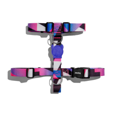 MIDNIGHT H-HARNESS1