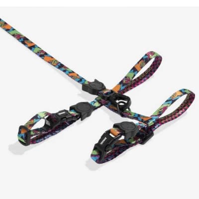 ZEE CAT MTV HARNESS + LEASH1